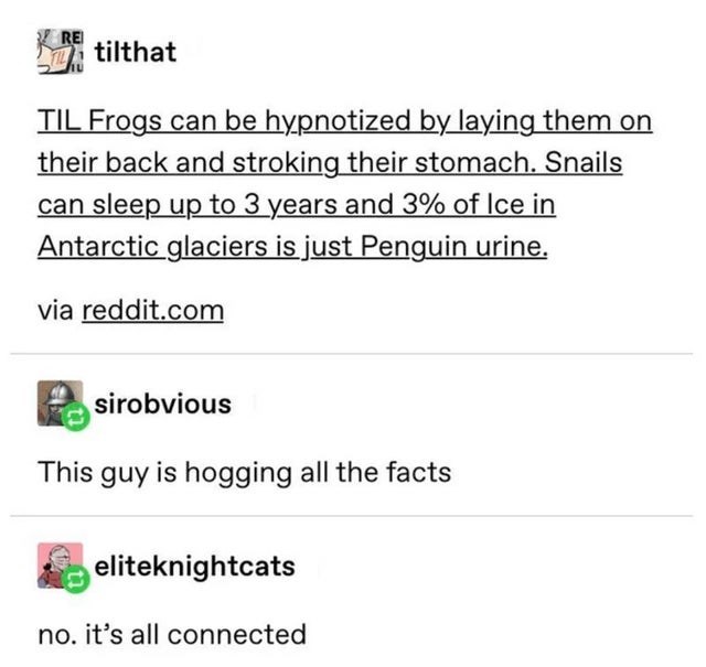tolkien and cs lewis meme - Re tilthat Til Frogs can be hypnotized by laying them on their back and stroking their stomach. Snails can sleep up to 3 years and 3% of Ice in Antarctic glaciers is just Penguin urine. via reddit.com sirobvious This guy is hog