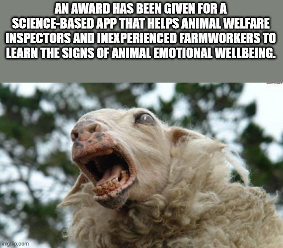 hickory house restaurant - An Award Has Been Given For A ScienceBased App That Helps Animal Welfare Inspectors And Inexperienced Farmworkers To Learn The Signs Of Animal Emotional Wellbeing. imgflip.com