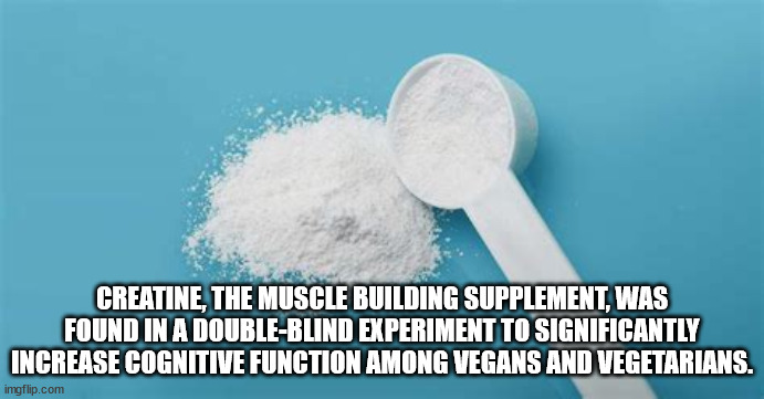 fun facts - water - Creatine, The Muscle Building Supplement, Was Found In A DoubleBlind Experiment To Significantly Increase Cognitive Function Among Vegans And Vegetarians. imgflip.com