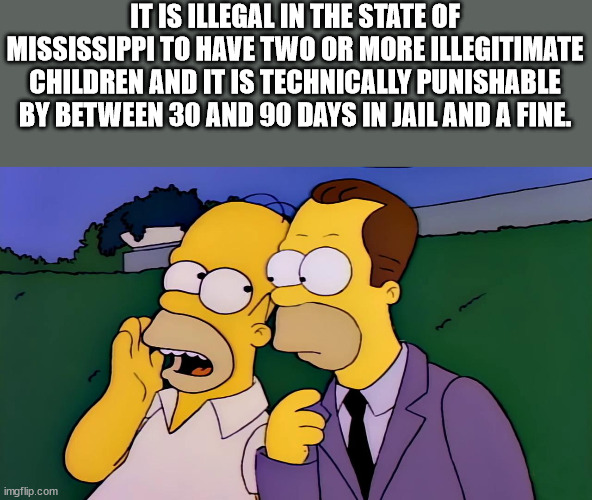 fun facts - homer simpsons brother - It Is Illegal In The State Of Mississippi To Have Two Or More Illegitimate Children And It Is Technically Punishable By Between 30 And 90 Days In Jail And A Fine. imgflip.com