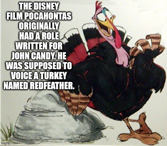 fun facts - pocahontas turkey - The Disney Film Pocahontas Originally Had A Role Written For John Candy. He Was Supposed To Voice A Turkey Named Redfeather. imgflip.com