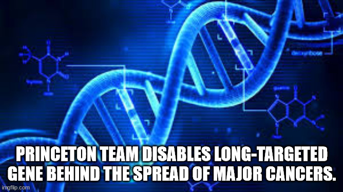 fun facts - dna and technology - Princeton Team Disables LongTargeted Gene Behind The Spread Of Major Cancers. imgflip.com