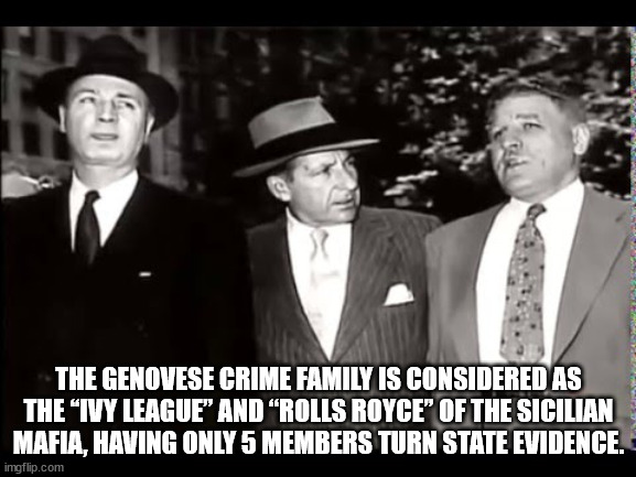 fun facts - jean montemarano joe adonis - it The Genovese Crime Family Is Considered As The Ivy League And Rolls Royce Of The Sicilian Mafia, Having Only 5 Members Turn State Evidence. imgflip.com