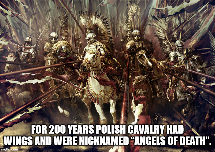 cool facts - fun facts - winged hussars art - Mua Pwd Anek For 200 Years Polish Cavalry Had Wings And Were Nicknamed Angels Of Death". imgflip.com