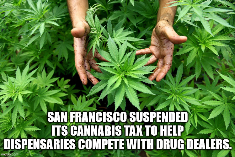 San Francisco Suspended Its Cannabis Tax To Help Dispensaries Compete With Drug Dealers. imgflip.com