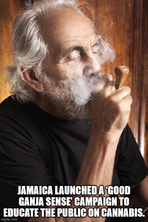 tommy chong - Jamaica LaunchedaGood Ganja Sense Campaign To Educate The Public On Cannabis. imgflip.com