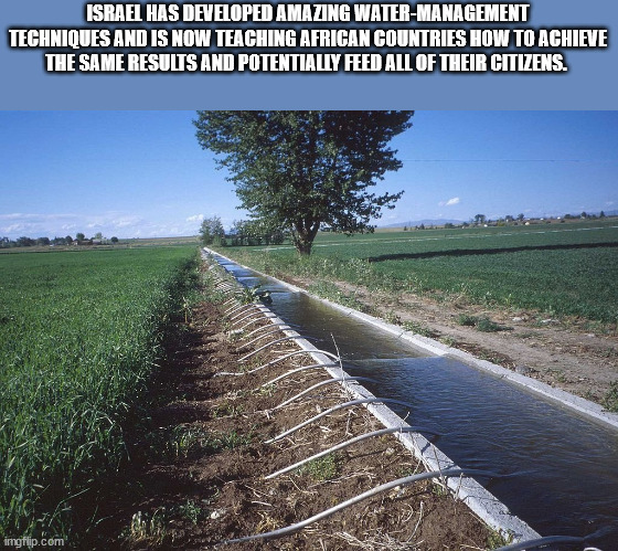 irrigation schemes - Israel Has Developed Amazing WaterManagement Techniques And Is Now Teaching African Countries How To Achieve The Same Results And Potentially Feed All Of Their Citizens. imgflip.com