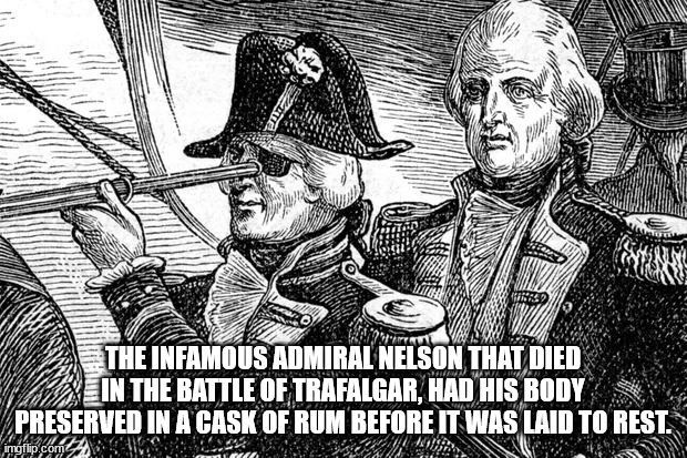 turn a blind eye - The Infamous Admiral Nelson That Died In The Battle Of Trafalgar, Had His Body Preserved In A Cask Of Rum Before It Was Laid To Rest. imetlip.com