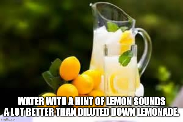 shower thoughts - Water With A Hint Of Lemon Sounds A Lot Better Than Diluted Down Lemonade imgflip.com