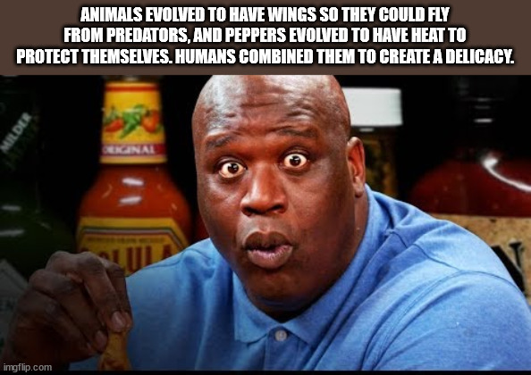 shower thoughts - shaq eating hot wings - Animals Evolved To Have Wings So They Could Fly From Predators, And Peppers Evolved To Have Heat To Protect Themselves. Humans Combined Them To Create A Delicacy. Milder Ekonal imgflip.com