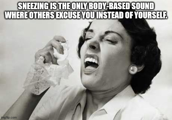 shower thoughts - people sneezing - Sneezing Is The Only BodyBased Sound Where Others Excuse You Instead Of Yourself. imgflip.com