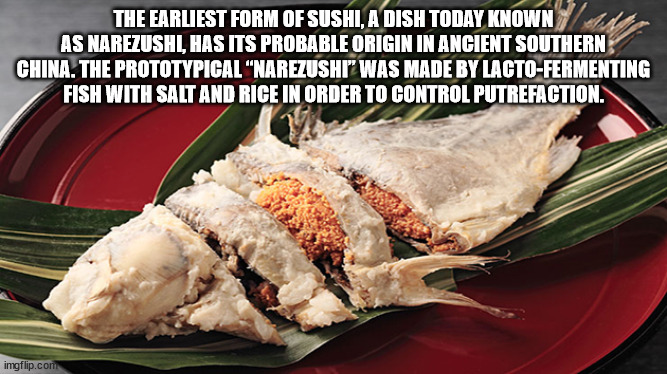 meat - The Earliest Form Of Sushi, A Dish Today Known As Narezushl, Has Its Probable Origin In Ancient Southern China. The Prototypical "Narezushi" Was Made By LactoFermenting Fish With Salt And Rice In Order To Control Putrefaction. imgflip.com