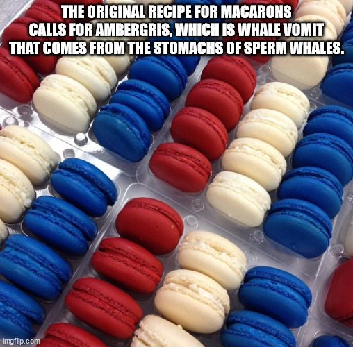 macarons memes - The Original Recipe For Macarons Calls For Ambergris, Which Is Whale Vomit That Comes From The Stomachs Of Sperm Whales. imgflip.com