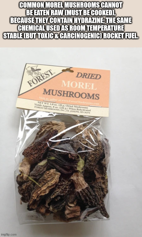 Common Morel Mushrooms Cannot Be Eaten Raw Must Be Cooked, Because They Contain Hydrazine; The Same Chemical Used As Room Temperature Stable But Toxic & Carcinogenic Rocket Fuel. Forest Dried Morel Mushrooms Wings sale at Net Wt. 10. 282 Dried Mushrooms…