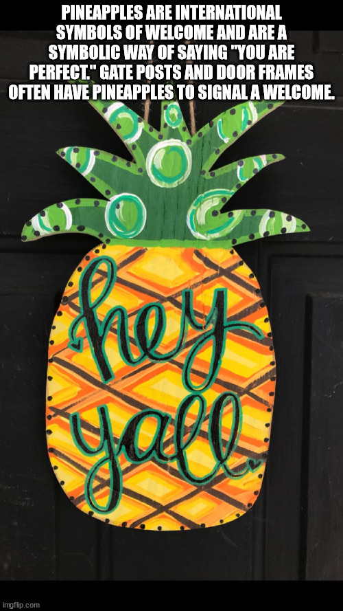 art - Pineapples Are International Symbols Of Welcome And Are A Symbolic Way Of Saying "You Are Perfect." Gate Posts And Door Frames Often Have Pineapples To Signal A Welcome. y imgflip.com
