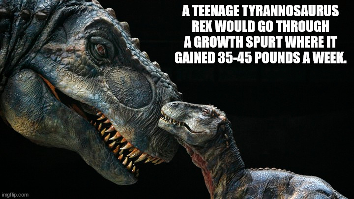 juvenile t rex - A Teenage Tyrannosaurus Rex Would Go Through A Growth Spurt Where It Gained 3545 Pounds A Week. imgflip.com