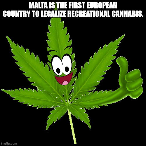Hemp - Malta Is The First European Country To Legalize Recreational Cannabis. 60 imgflip.com