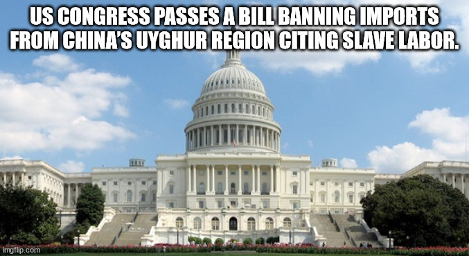 u.s. capitol - Us Congress Passes A Bill Banning Imports From China'S Uyghur Region Citing Slave Labor. imgflip.com