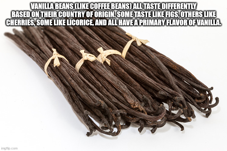 Vanilla Beans Coffee Beans All Taste Differently Based On Their Country Of Origin. Some Taste Figs, Others Cherries, Some Licorice, And All Have A Primary Flavor Of Vanilla. imgflip.com