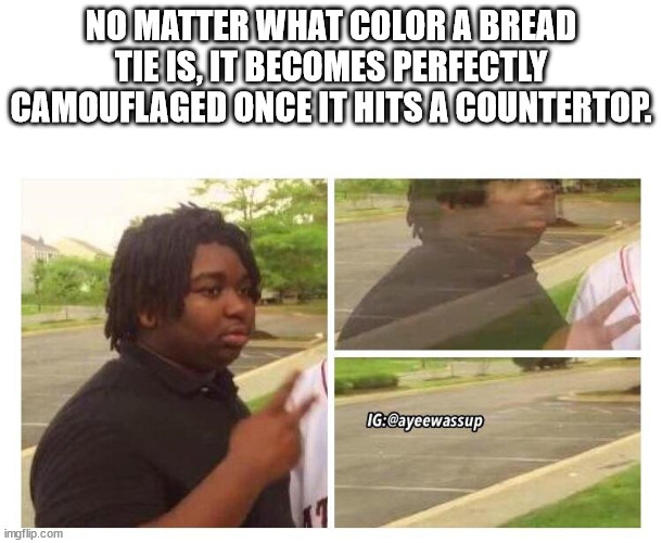 shower thoughts - cya meme - No Matter What Color A Bread Tie Is, It Becomes Perfectly Camouflaged Once It Hits A Countertop. Ig imgflip.com