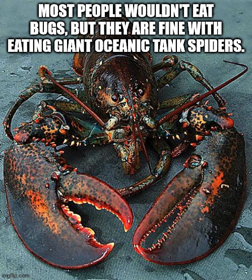 shower thoughts - north atlantic lobster - Most People Wouldn'T Eat Bugs, But They Are Fine With Eating Giant Oceanic Tank Spiders. imgflip.com