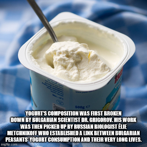 yogurt meaning in telugu - 500g e Yogurt'S Composition Was First Broken Down By Bulgarian Scientist Dr. Grigorov. His Work Was Then Picked Up By Russian Biologist Lie Metchnikoff Who Established A Link Between Bulgarian Peasants' Yogurt Consumption And Th