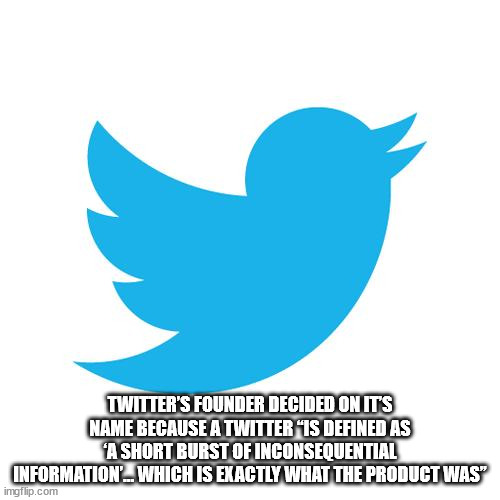 beak - Twitter'S Founder Decided On Its Name Because A Twitter "Is Defined As 'A Short Burst Of Inconsequential Information Which Is Exactly What The Product Was" imgflip.com