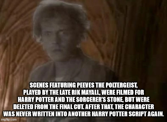 failure is not an option - Scenes Featuring Peeves The Poltergeist, Played By The Late Rik Mayall, Were Filmed For Harry Potter And The Sorcerer'S Stone, But Were Deleted From The Final Cut After That, The Character Was Never Written Into Another Harry Po
