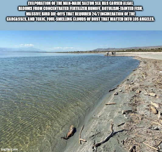 water resources - Evaporation Of The ManMade Salton Sea Has Caused Algal Blooms From Concentrated Fertilizer Runoff, BotulisimTainted Fish. Massive Bird DieOffs That Required 247 Incineration Of The Carcasses, And Toxic, FoulSmelling Clouds Of Dust That W