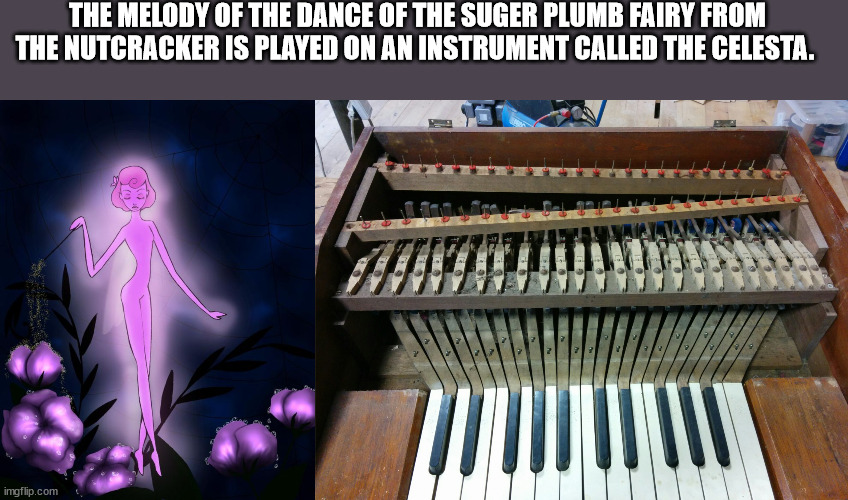 kim jong il funny - The Melody Of The Dance Of The Suger Plumb Fairy From The Nutcracker Is Played On An Instrument Called The Celesta. imgflip.com