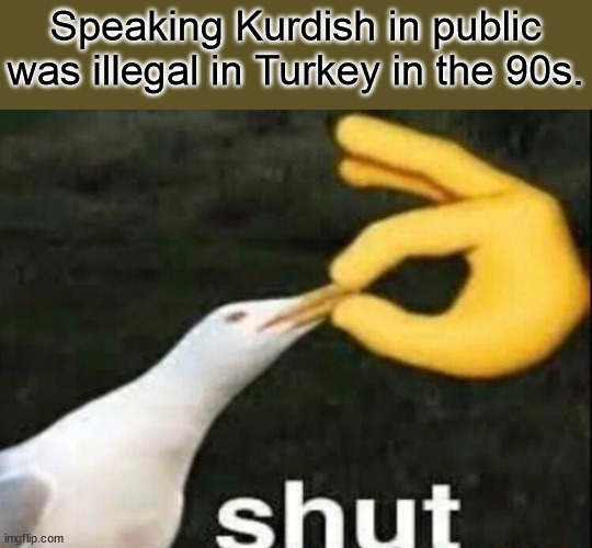 memes shut - Speaking Kurdish in public was illegal in Turkey in the 90s. shut imgflip.com