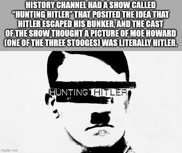 have no strong feelings one - History Channel Had A Show Called "Hunting Hitler That Posited The Idea That Hitler Escaped His Bunker, And The Cast Of The Show Thought A Picture Of Moe Howard Cone Of The Three Stooges Was Literally Hitler. Hunting Hitler, 