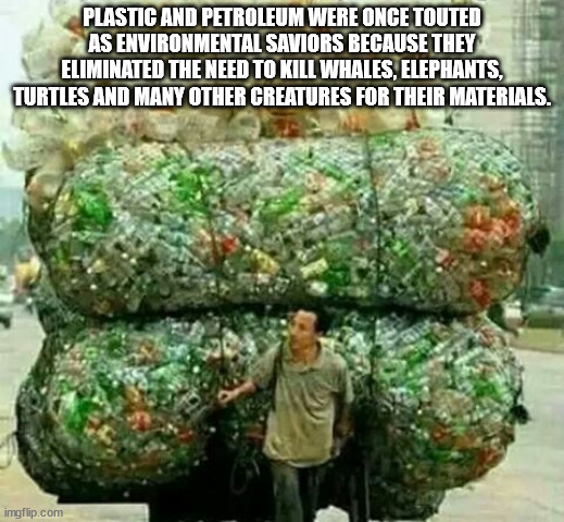 does all garbage go - Plastic And Petroleum Were Once Touted As Environmental Saviors Because They Eliminated The Need To Kill Whales, Elephants, Turtles And Many Other Creatures For Their Materials. imgflip.com