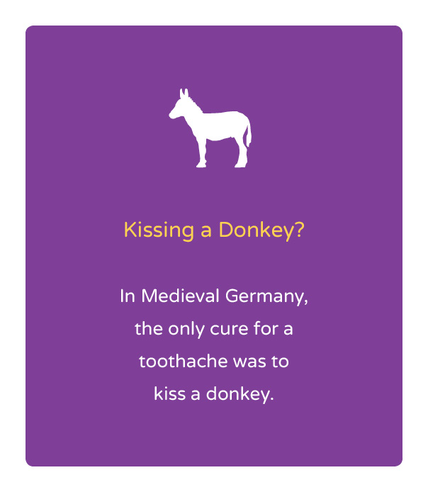 fun dental myths - Kissing a Donkey? In Medieval Germany, the only cure for a toothache was to kiss a donkey.