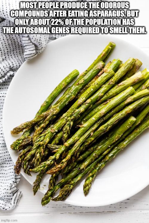 asparagus meme - Most People Produce The Odorous Compounds After Eating Asparagus, But Only About 22% Of The Population Has The Autosomal Genes Required To Smell Them. imgflip.com