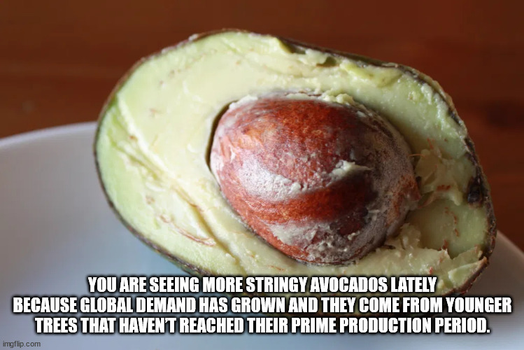 stringy avocado - You Are Seeing More Stringy Avocados Lately Because Global Demand Has Grown And They Come From Younger Trees That Haven'T Reached Their Prime Production Period. imgflip.com