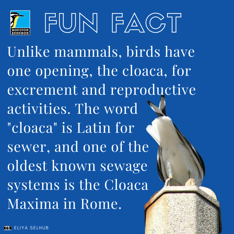 Fill Up With 40 More Fun Facts
