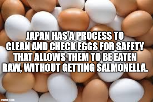 contest flyer - Japan Hasa Process To Clean And Check Eggs For Safety That Allows Them To Be Eaten Raw, Without Getting Salmonella. imgflip.com