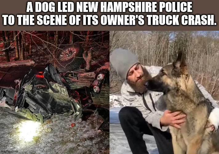 Dog - A Dog Led New Hampshire Police To The Scene Of Its Owner'S Truck Crash. imgflip.com