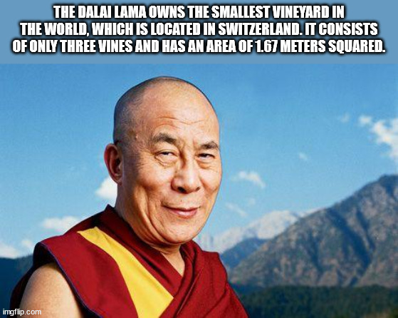 dalai lama - The Dalai Lama Owns The Smallest Vineyard In The World, Which Is Located In Switzerland. It Consists Of Only Three Vines And Has An Area Of 1.67 Meters Squared. imgflip.com