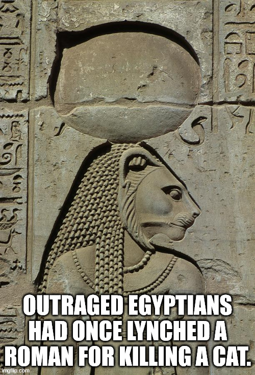 Bastet - Oko Outraged Egyptians Had Once Lynched A Roman For Killing A Cat. imgflip.com