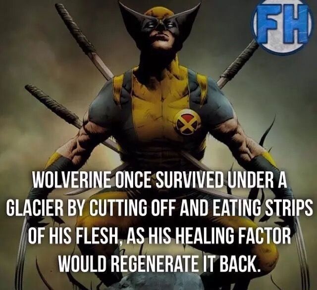 super hero facts - wolverine 2010 - Fh & Wolverine Once Survived Under A Glacier By Cutting Off And Eating Strips Of His Flesh, As His Healing Factor Would Regenerate It Back.
