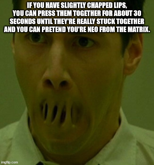 Shower Thoughts For Your Sunday