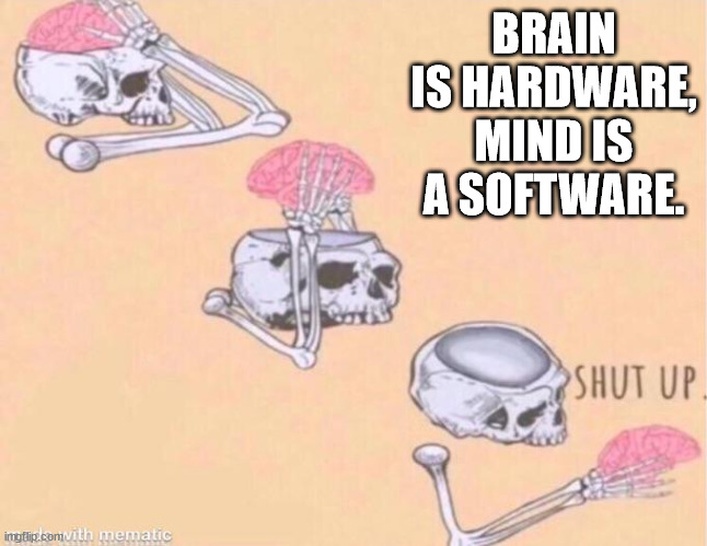Shower Thoughts - Brain Is Hardware Mindis A Software Shut Up