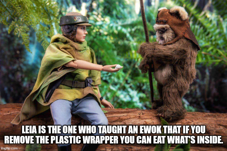 True Thoughts - fauna - Leia Is The One Who Taught An Ewok That If You Remove The Plastic Wrapper You Can Eat What'S Inside