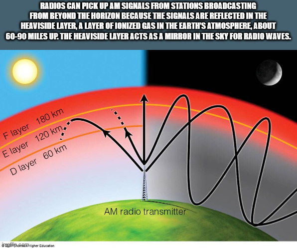 40 Fun Facts To Stuff In Your Synapses