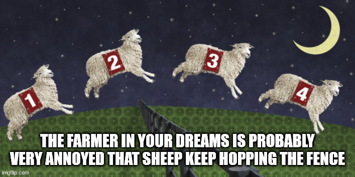shower thoughts - count sleep - No 2 3 4. 1 The Farmer In Your Dreams Is Probably Very Annoyed That Sheep Keep Hopping The Fence imgflip.com