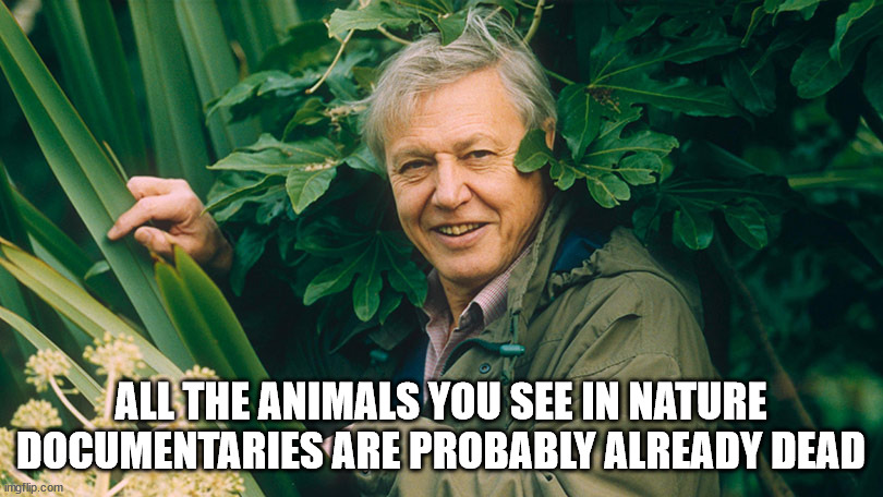 shower thoughts - david attenborough in nature - All The Animals You See In Nature Documentaries Are Probably Already Dead imgflip.com