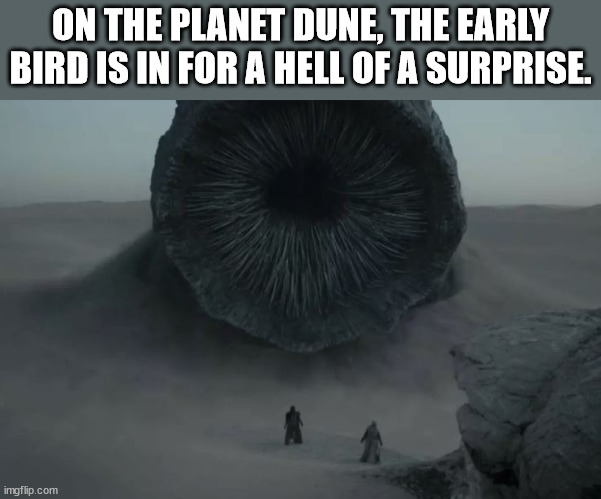 Some Shower Thoughts