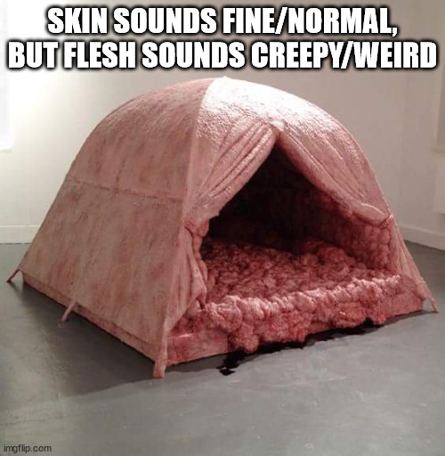 Some Shower Thoughts